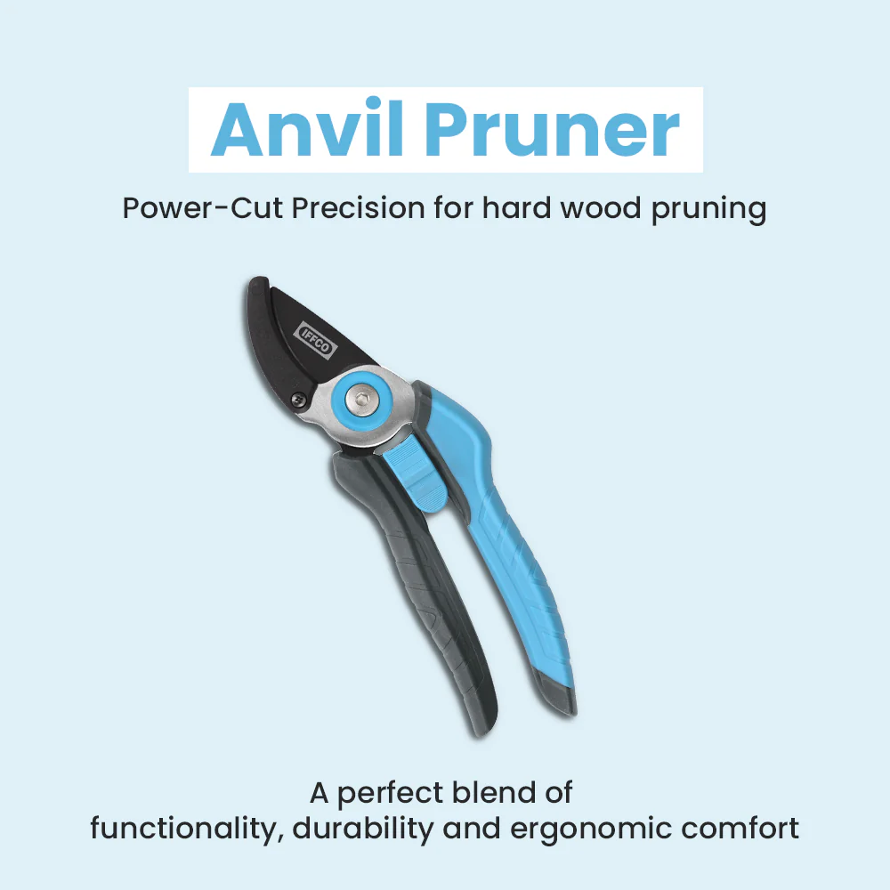 Best Selling Products